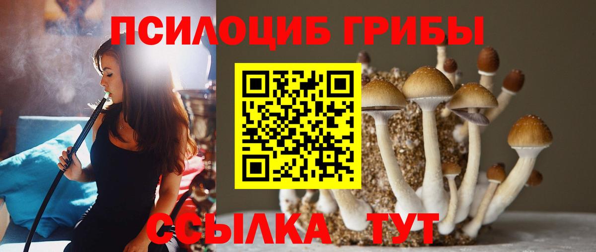 Галлюциногенные грибы Psilocybine cubensis  Вход с VPN  Бахчисарай 